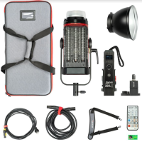 Aputure LS C300d MKII (V mount)(EU version)